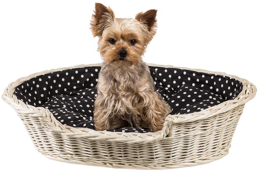 Katzenkorb, Hundebett aus Weide gebleicht mit Kissen Luisa IV.