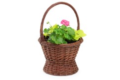 Blumenkorb Flores IV